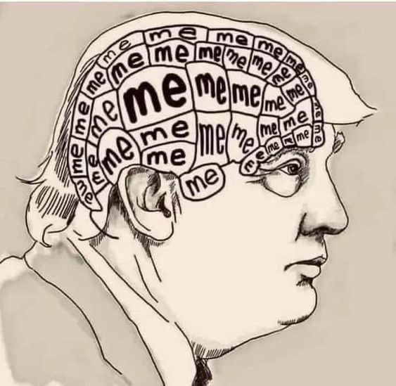 donnie lies